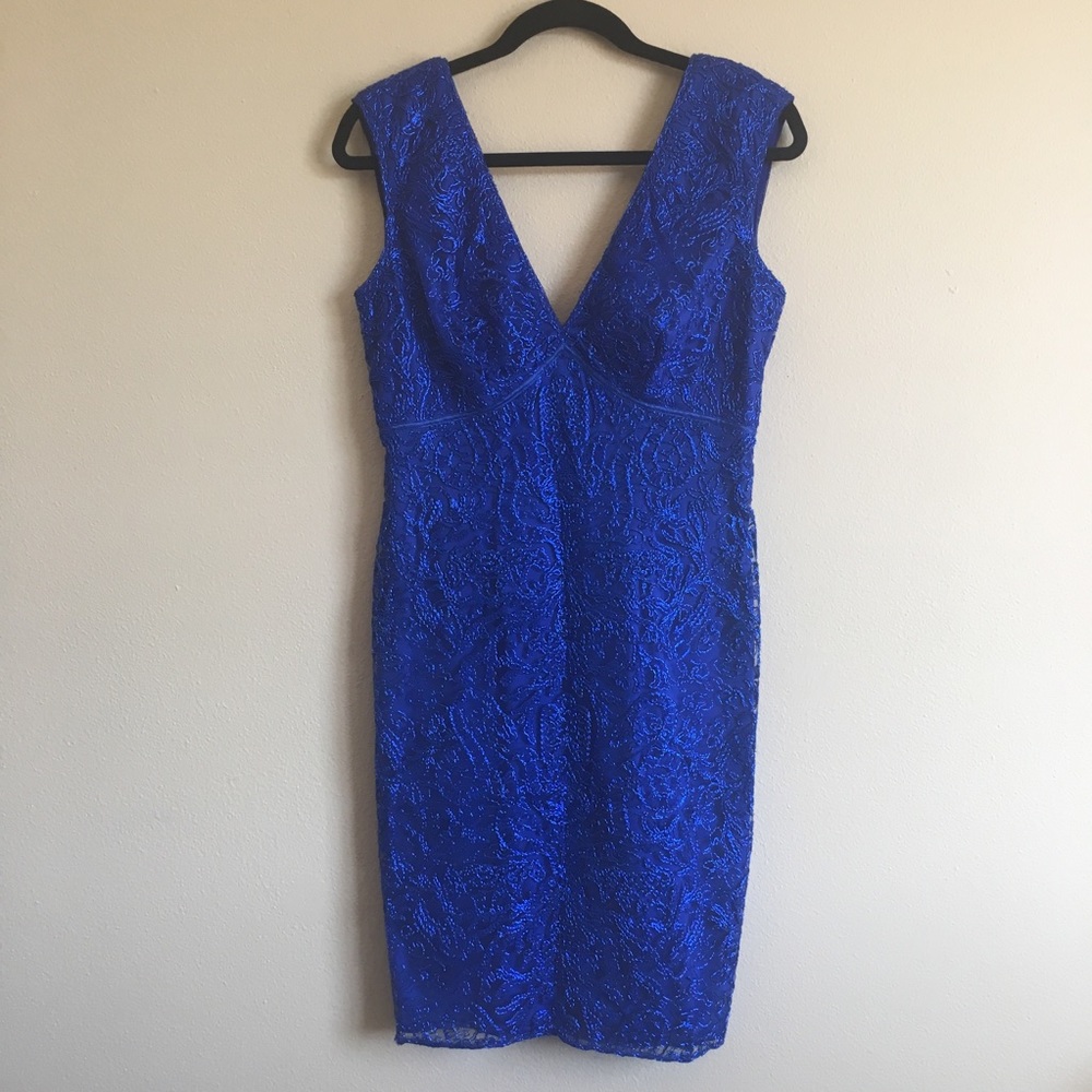 Tadashi Shoji Lace Embroidered Metallic Dress 6